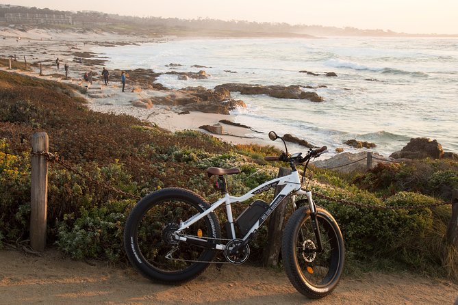 Monterey's 17 Mile Drive Guided Electric Bike Tour, 3 hr - Bird Rock and the seal and sea lion watch