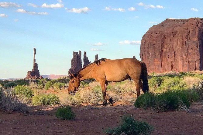 Monument Valley Group Tour - 3 Hours - Navajo Spirit Tours - Anasazi petroglyphs and the stories in the stone