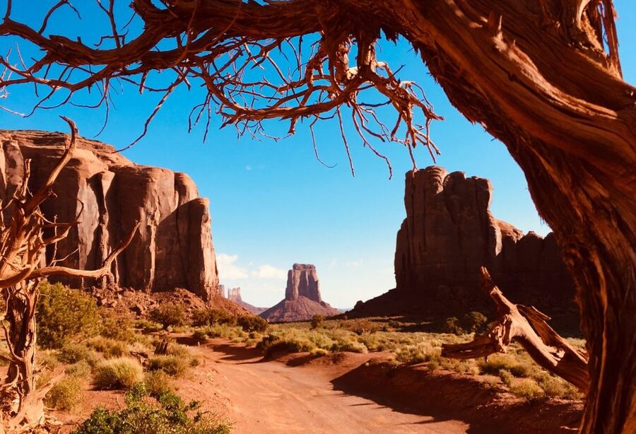 Monument Valley: Highlights Tour with Backcountry Access - What the guides add to the day