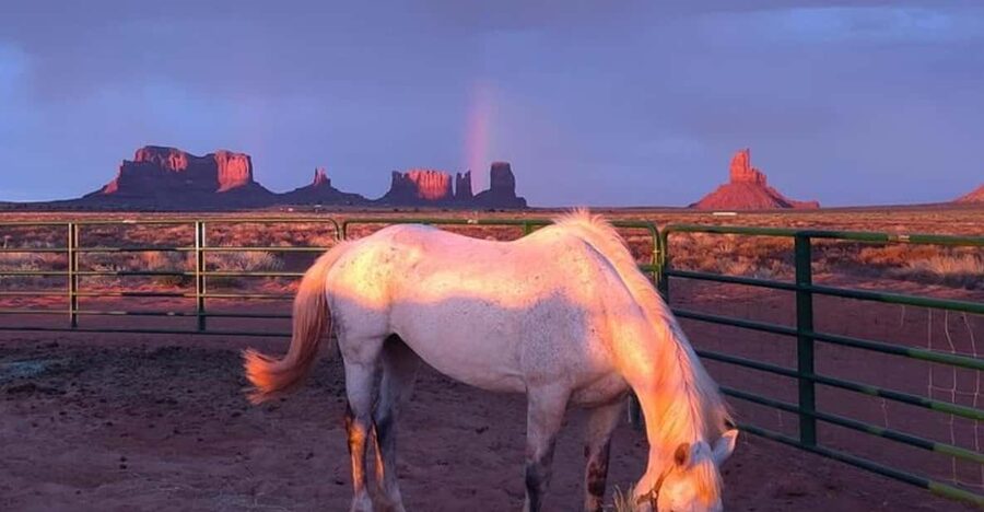 Monument Valley: Horseback Adventure Tour - What This Ride Adds to a Monument Valley Visit