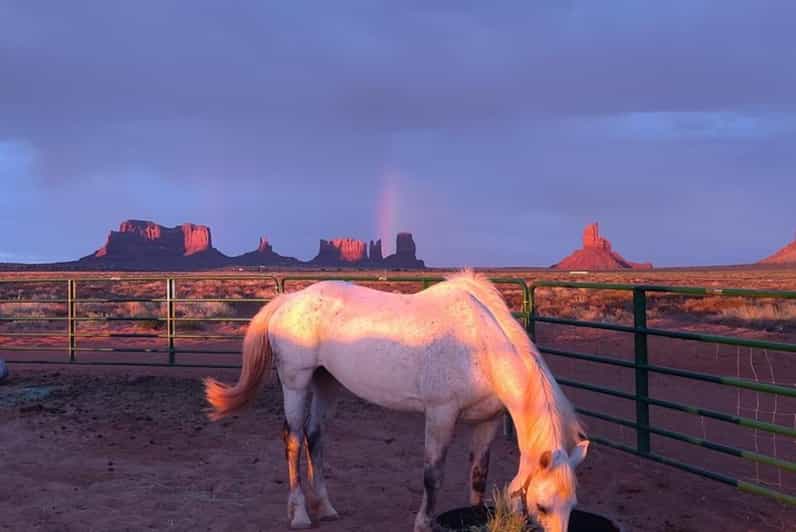 Monument Valley: Horseback Adventure Tour - Meeting the Horses at D/D MTA