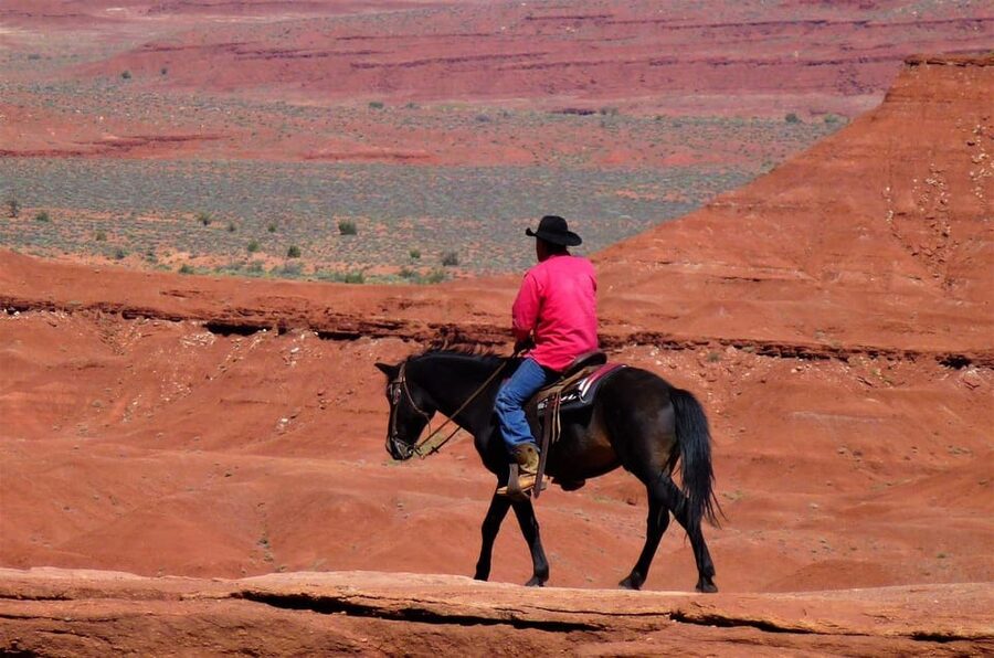 Monument Valley: Horseback Adventure Tour - Walking Pace, Trotting, and Riding Freedom