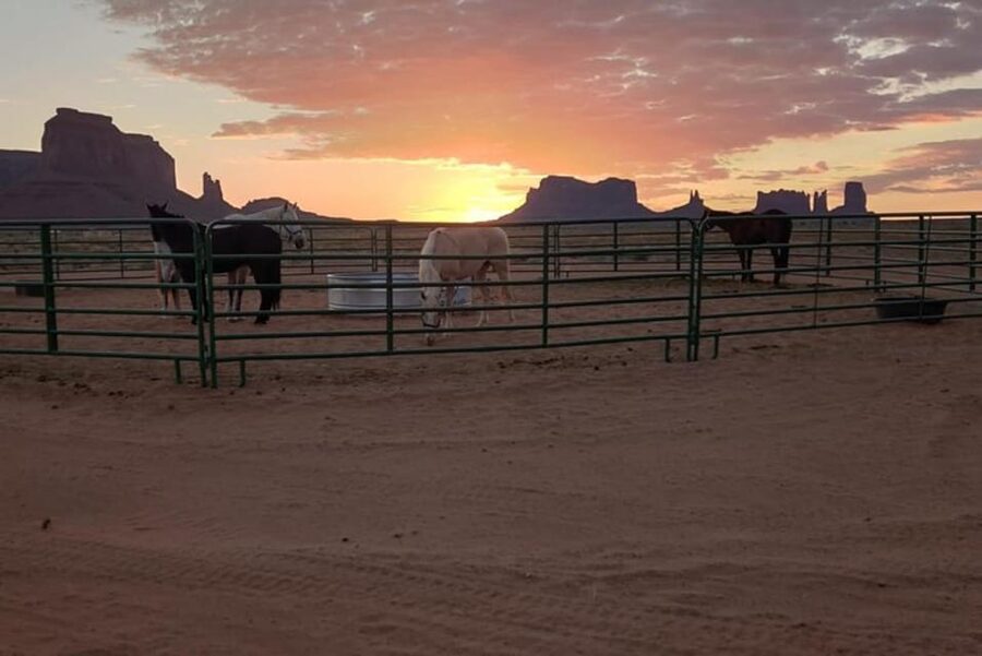 Monument Valley: Horseback Adventure Tour - Should You Book the Monument Valley Horseback Adventure?
