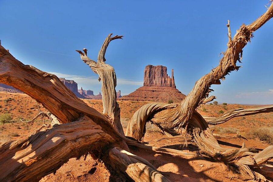 Monument Valley: Scenic 2.5-Hour Guided Tour - The guides are a major part of the experience