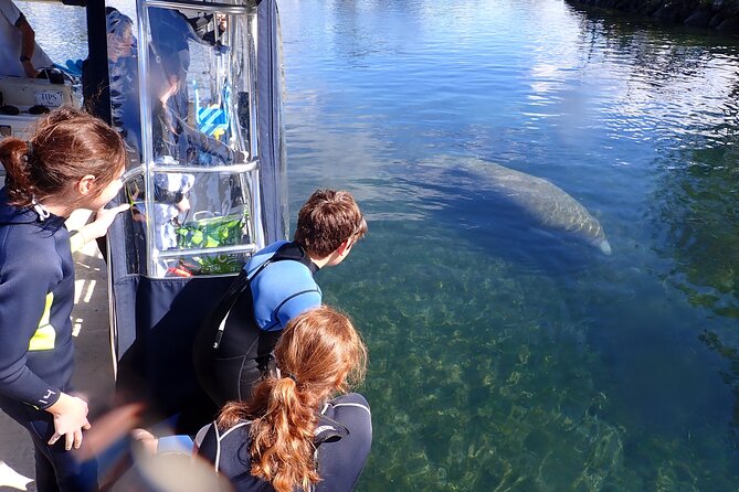 Most Popular 3hr Manatee Swim Tour + In-Water Guide! - The gear is useful, but the water is still cold