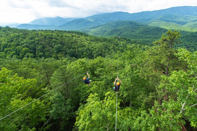 Mountaintop Zipline 2-Hours Activity - Who will get the most from this tour?