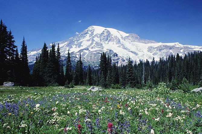 Mt. Rainier Day Tour from Seattle - Why This Is One of Seattles Best Nature Excursions