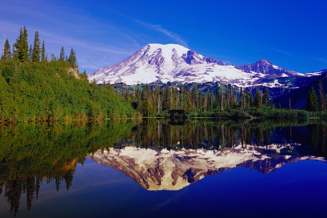 Mt. Rainier Day Tour from Seattle - Waterfalls at Narada Falls and Christine Falls