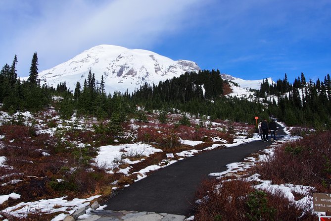Mt. Rainier Day Tour from Seattle - Reflection Lakes and Tipsoo Lake Are Seasonal Bonuses