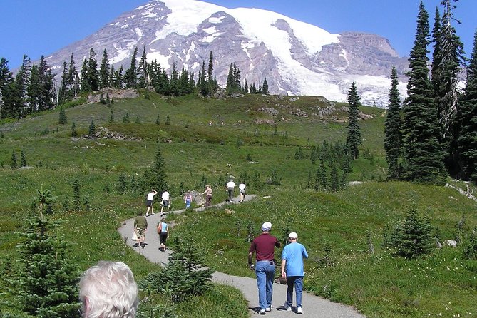 Mt. Rainier Day Tour from Seattle - Weather and Road Access Shape Everything