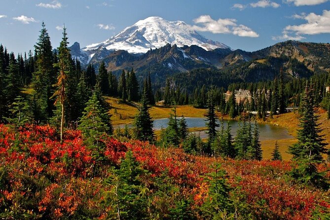 Mt. Rainier highlights - old forest, falls and glaciers - Quick take: what makes this Mt. Rainier day trip special