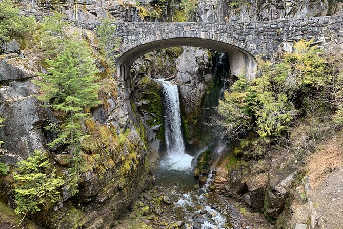 Mt. Rainier highlights - old forest, falls and glaciers - Old-growth forest near Longmire