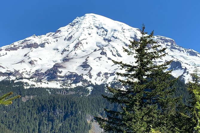 Mt. Rainier highlights - old forest, falls and glaciers - How much walking should you expect?
