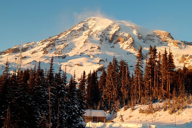 Mt. Rainier National Park Highlights Tour - What makes this Mt. Rainier tour worth considering