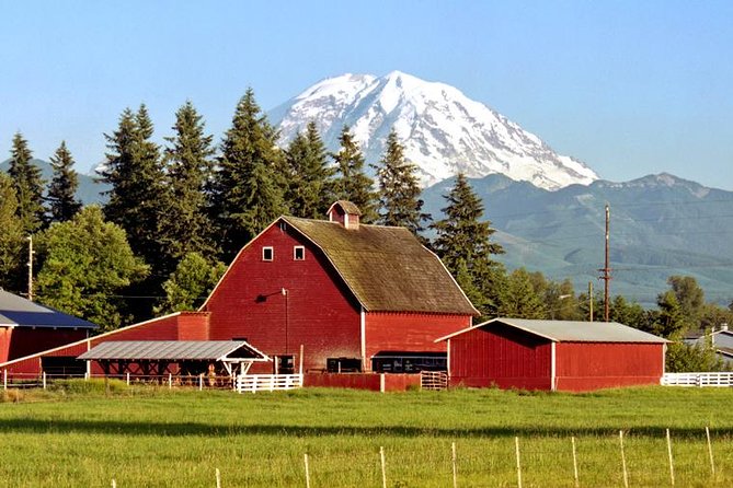 Mt. Rainier National Park Highlights Tour - Paradise at 5,400 feet