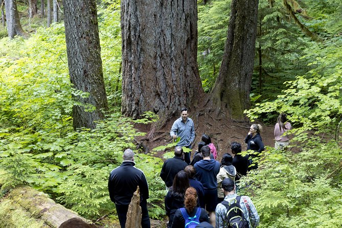 Mt. Rainier National Park Highlights Tour - Seasonal routes: lakes, snow, and alternate summits