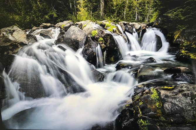 Mt. Rainier National Park Highlights Tour - What the $150 price really includes