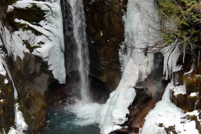 Mt. Rainier National Park Highlights Tour - Christine Falls and the famous bridge view