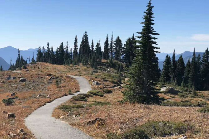 Mt Rainier National Park Small Group Day Tour from Seattle 2CanGo - Key details before you book