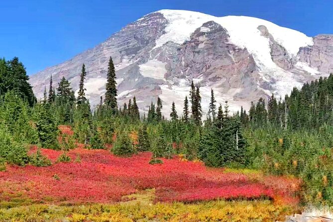 Mt Rainier National Park Small Group Day Tour from Seattle 2CanGo - Christine Falls is quick, pretty, and easy