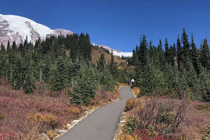 Mt Rainier National Park Small Group Day Tour from Seattle 2CanGo - Reflection Lakes can produce the best photograph