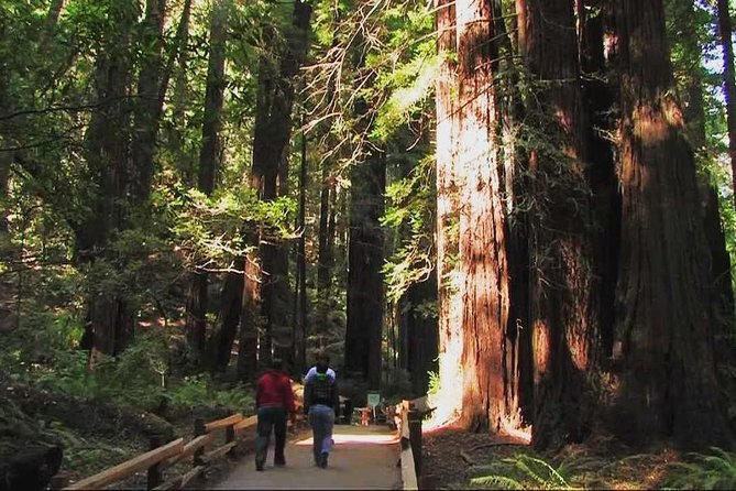 Muir Woods and Sausalito Morning Tour Small-Group Half Day - The Golden Gate Bridge vista point in 10 minutes