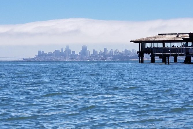 Muir Woods and Sausalito Morning Tour Small-Group Half Day - Returning by van or staying for the ferry