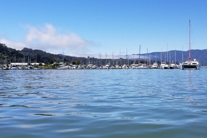 Muir Woods and Sausalito Morning Tour Small-Group Half Day - What the guides add to the experience