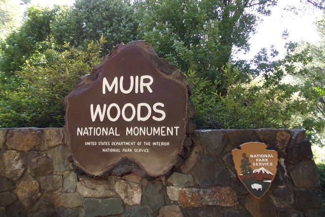 Muir Woods and Sausalito (Return by Bus or Ferry) - Ninety quiet minutes in Muir Woods