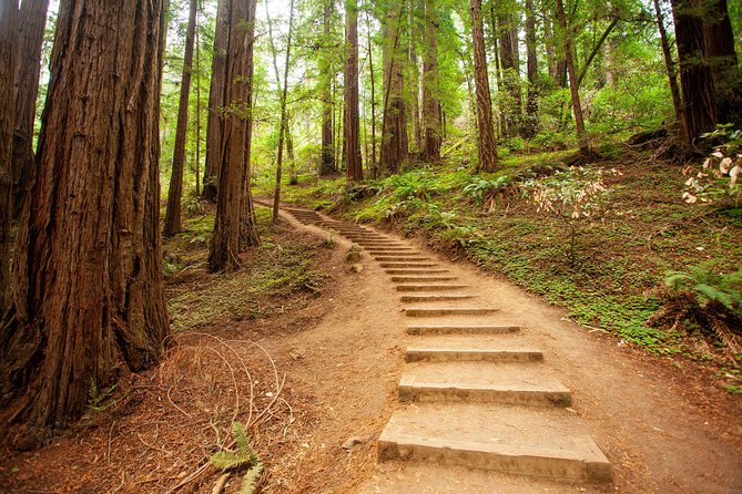 Muir Woods and Sausalito Tour Plus Bay Cruise - Why this combination works in San Francisco