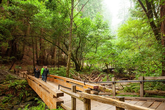 Muir Woods and Sausalito Tour Plus Bay Cruise - Muir Woods and its towering coastal redwoods