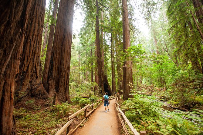 Muir Woods and Sausalito Tour Plus Bay Cruise - What $133 gets you