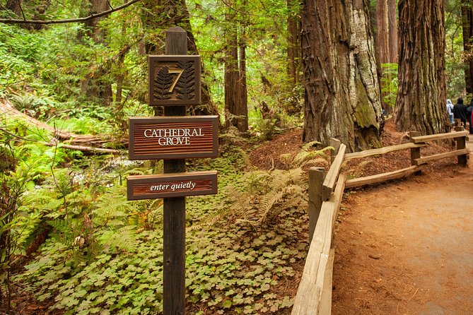 Muir Woods and Sausalito Tour Plus Bay Cruise - Who should book this San Francisco day trip