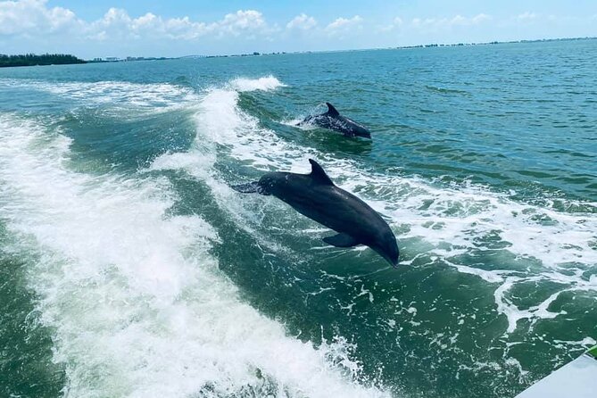 Myrtle Beach Dolphin Cruise - Quick facts about the dolphin cruise