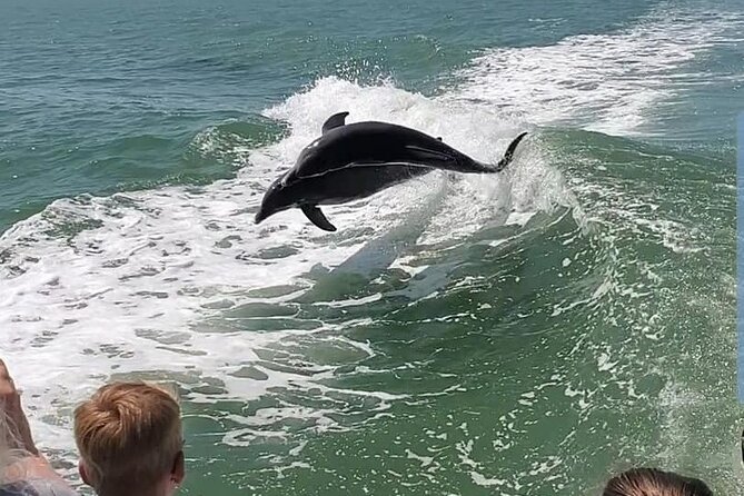 Myrtle Beach Dolphin Cruise - How the crew shapes the experience