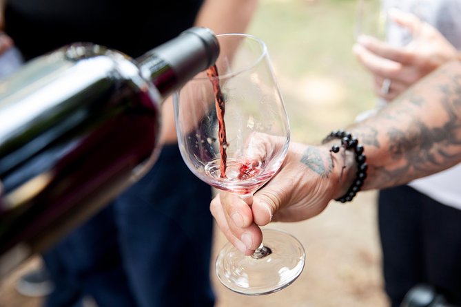 Napa and Sonoma Wine Country Full-Day Tour from San Francisco - Artesa Winery brings the big views