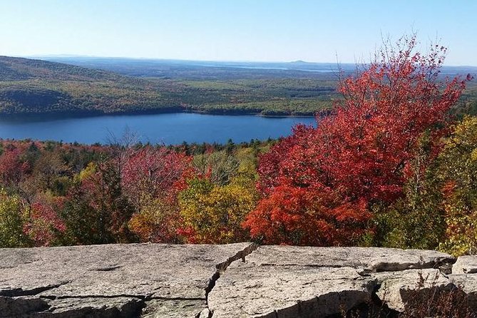 Narrated Bus Tour of Bar Harbor and Acadia National Park - Sieur de Monts Spring and Acadia’s natural side