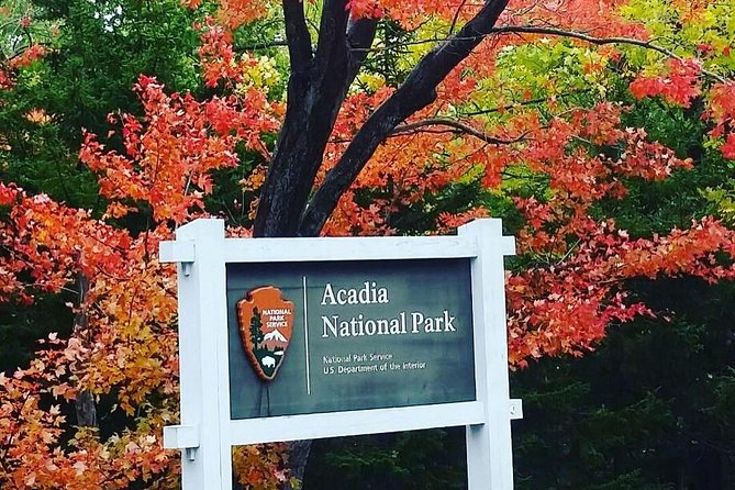 Narrated Bus Tour of Bar Harbor and Acadia National Park - How much value do you get for $67.31?