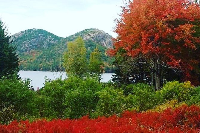 Narrated Bus Tour of Bar Harbor and Acadia National Park - What this tour does not provide