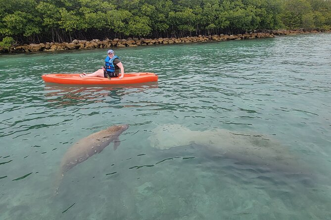 Nature & Island Exploration on SUP/Kayak - From Venetian Marina to the mangroves