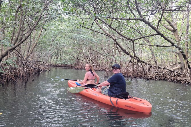 Nature & Island Exploration on SUP/Kayak - Raccoon Island and the swimming break