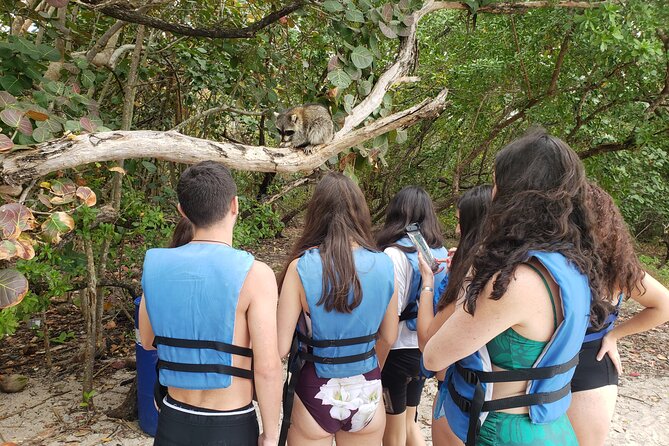 Nature & Island Exploration on SUP/Kayak - Paddling the mangrove channels
