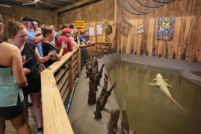 New Orleans Airboat Ride - Who should book this New Orleans outing?