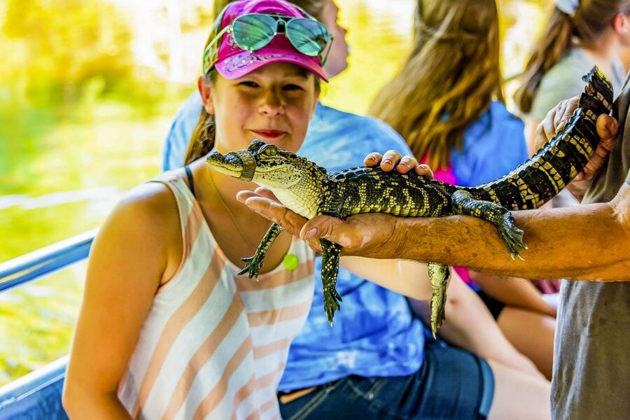 New Orleans: Bayou Swamp Tour and Oak Alley Plantation Tour - Why pair a bayou boat ride with Oak Alley?
