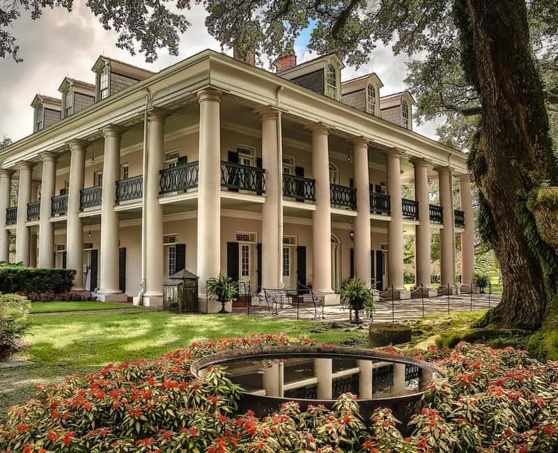 New Orleans: Bayou Swamp Tour and Oak Alley Plantation Tour - Who will enjoy this day most?