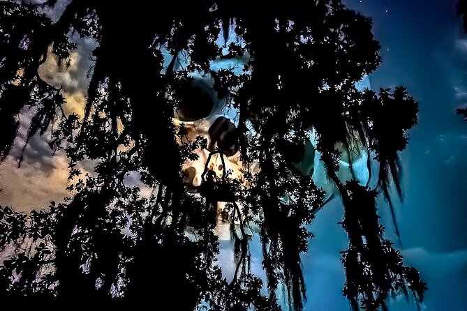 New Orleans Dead of Night Ghosts and Cemetery Bus Tour - Meeting at the Rampart Treehouse