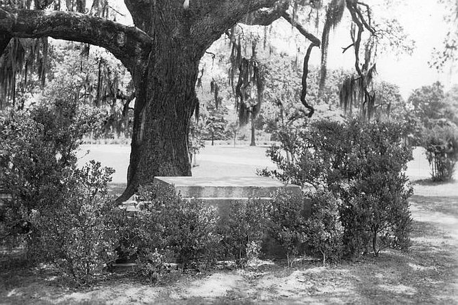 New Orleans Dead of Night Ghosts and Cemetery Bus Tour - How scary is the Dead of Night tour?