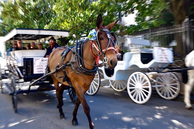 New Orleans French Quarter and More Carriage Ride - The Pontalba Buildings and old apartment living