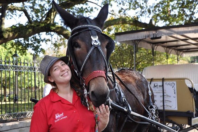 New Orleans French Quarter and More Carriage Ride - The Marigny portion and views beyond the busiest streets