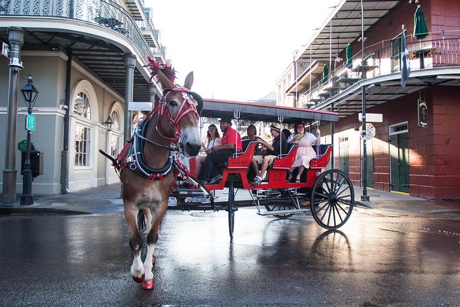 New Orleans French Quarter and More Carriage Ride - Entering the Vieux Carré on Decatur Street